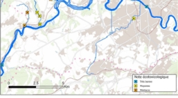 Rapport de stage géomatique Monica Suarez